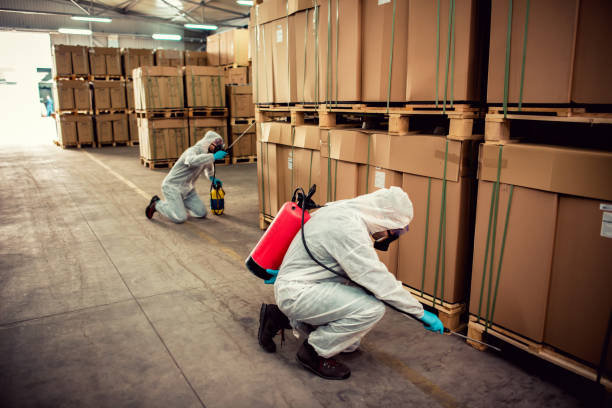 Best Wasp Removal Services  in Jacobus, PA