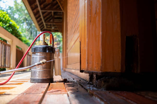 Best Cockroach Control Services  in Jacobus, PA