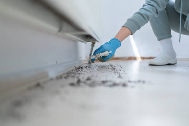 Best Residential Pest Control  in Jacobus, PA